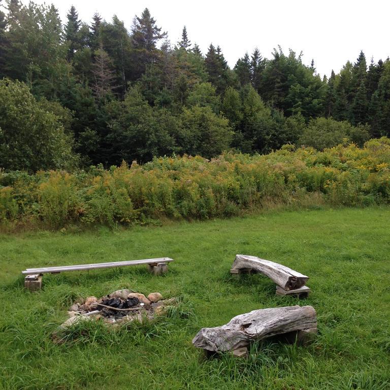 Breton Cove Farmhouse Indian Brook Exterior photo
