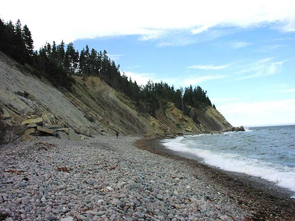 Breton Cove Farmhouse Indian Brook Exterior photo